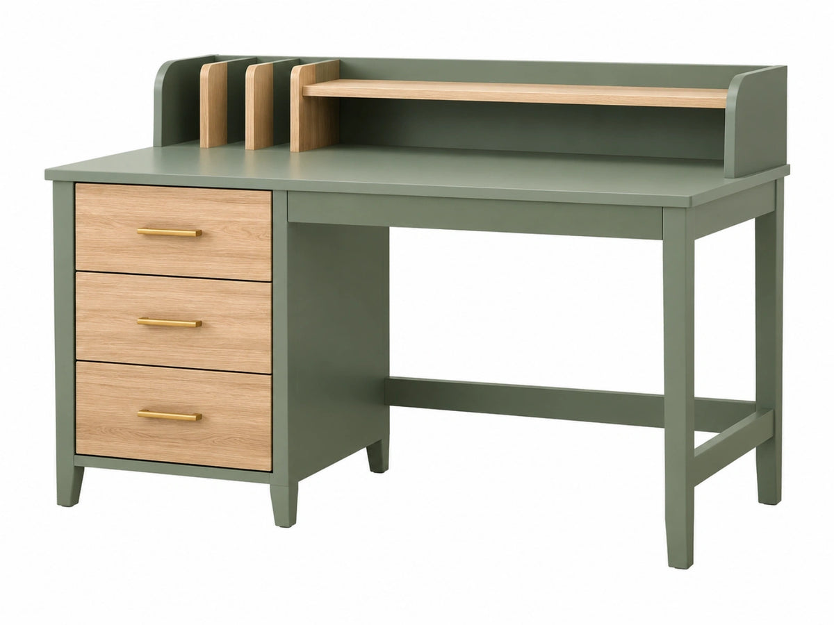 Scrivania con cassetti 120 x 60 x 100 cm in legno verde e naturale con organizer